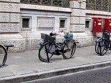 Biciclette a Udine - 016.jpg